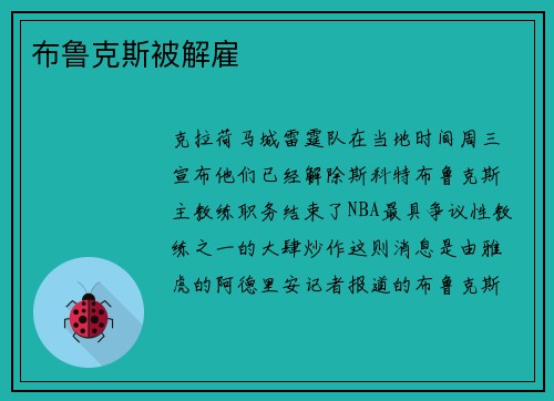 布鲁克斯被解雇